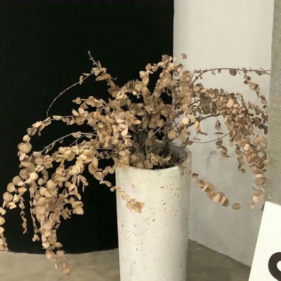 Furry插画色彩解析福瑞交流群